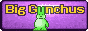 Big Gunchus